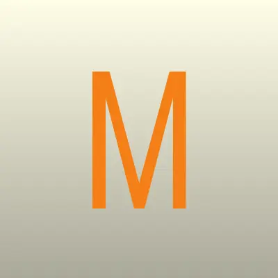 Мойка 29