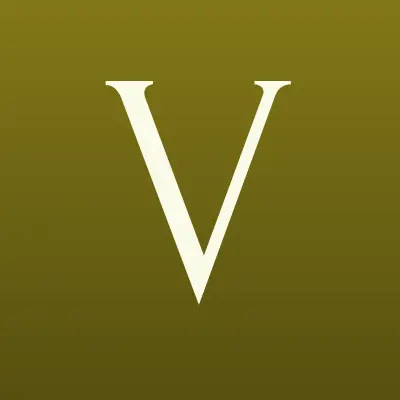 Vfs Global